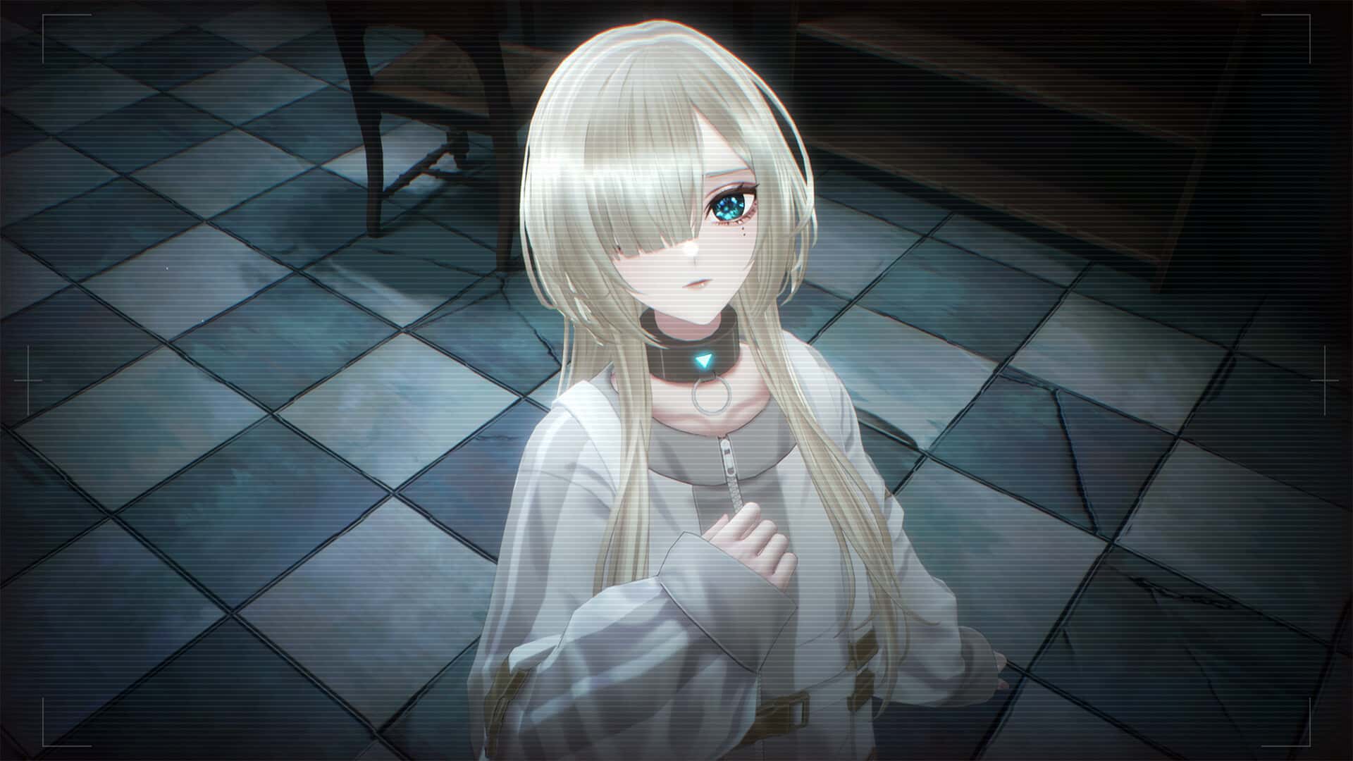视觉数据5